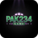 PAK234 Game