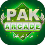PAK Arcade Game